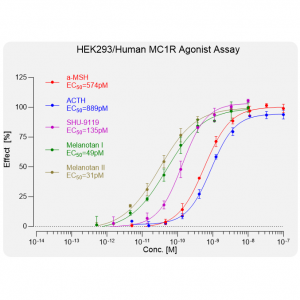 HEK293/Human MC1R Cell Line